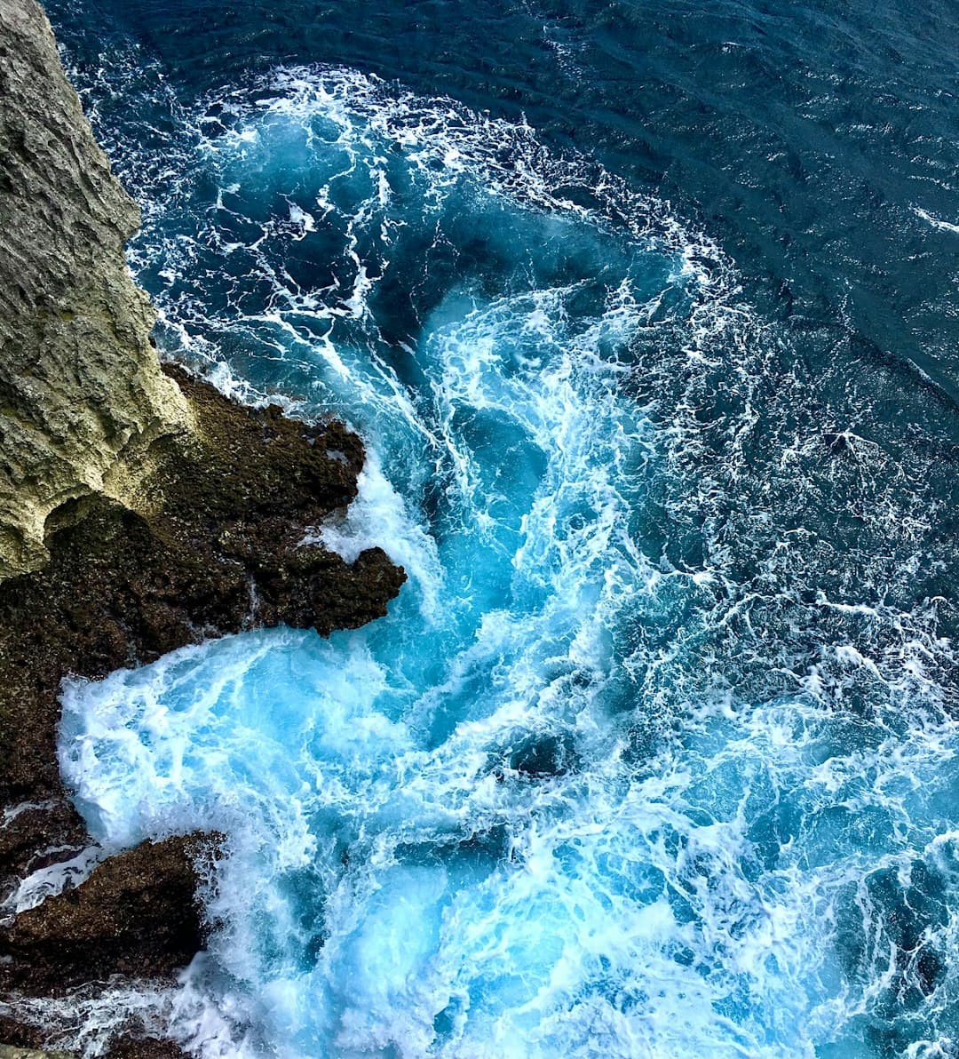 The New Rejuvenating Eye Cream