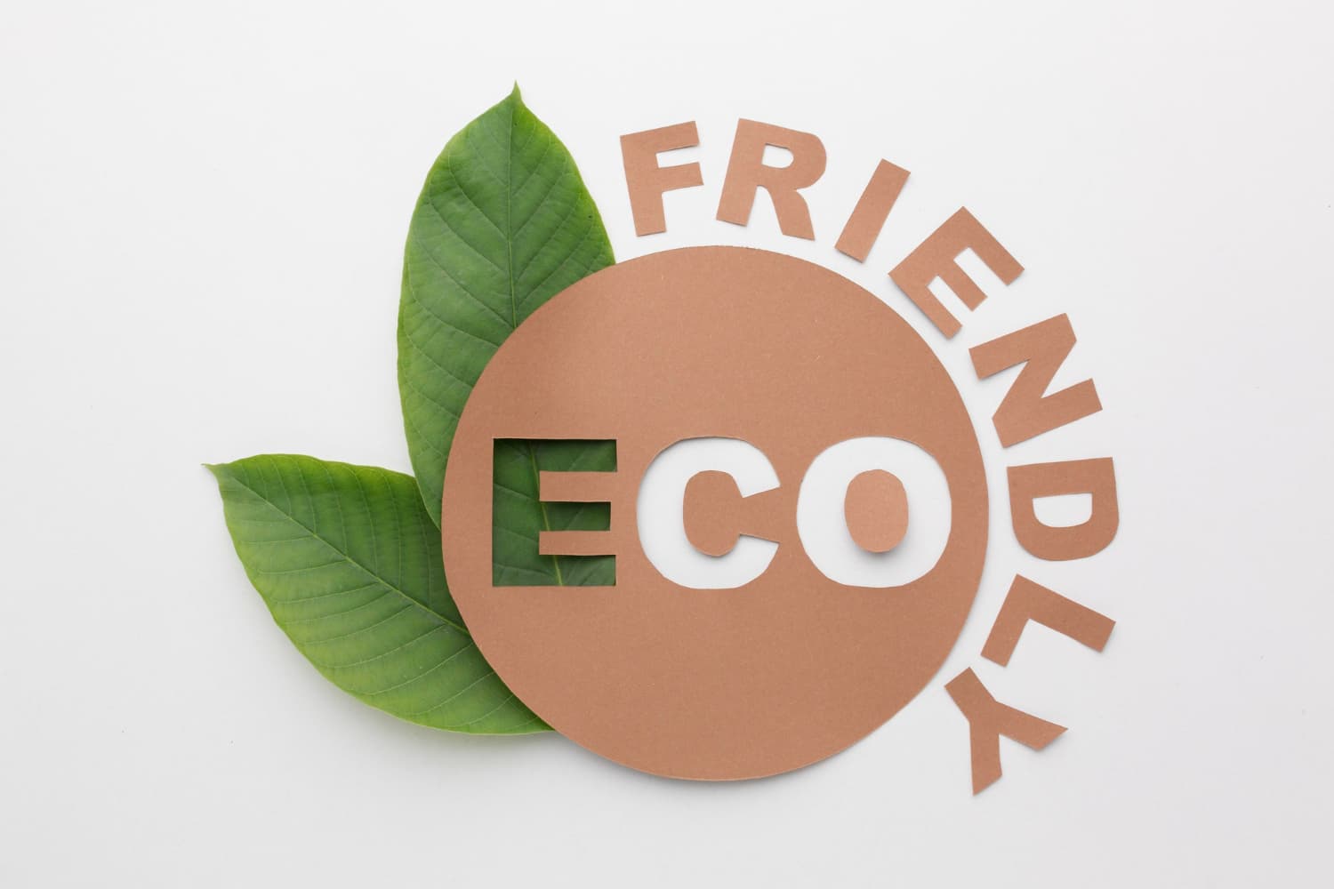 How to Set Up an Eco-Friendly Skincare Production Process