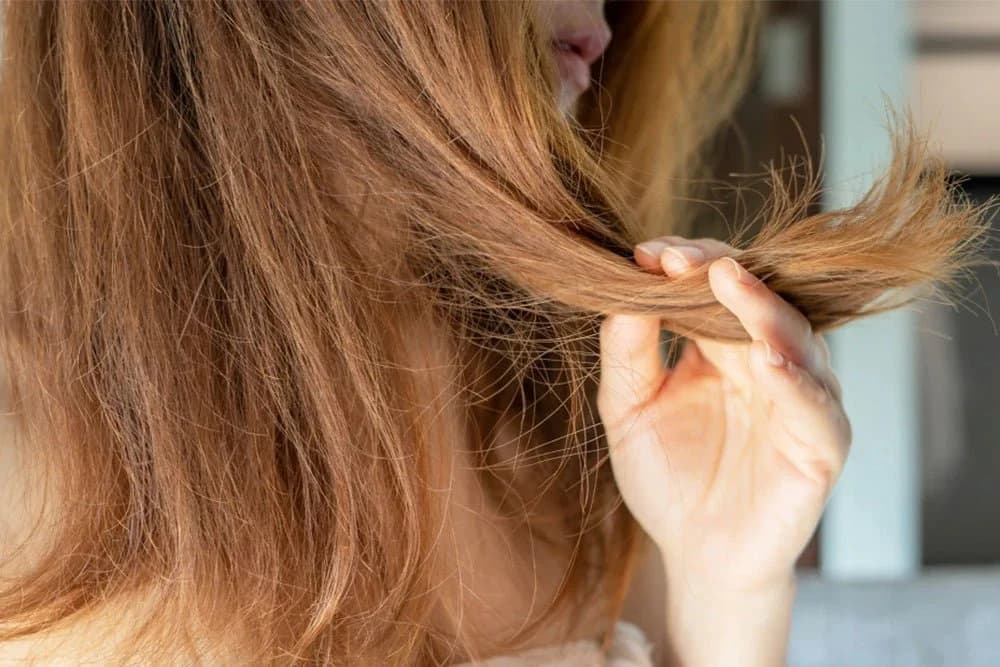 Restore Damaged Hair With Argan Oil