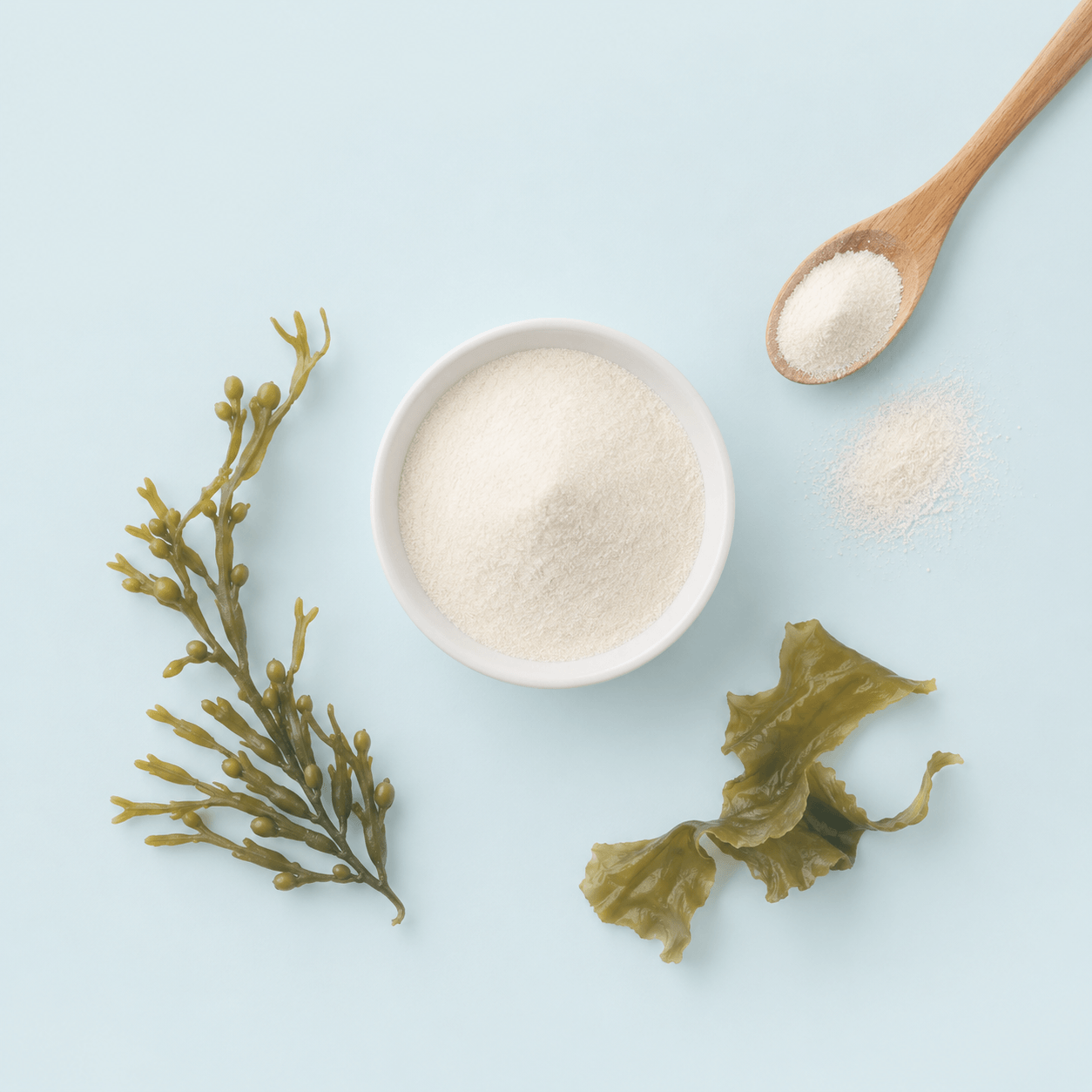 ALGINATE SS207