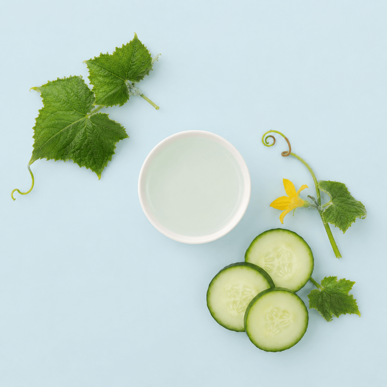 Natural Cucumber Hydrosol