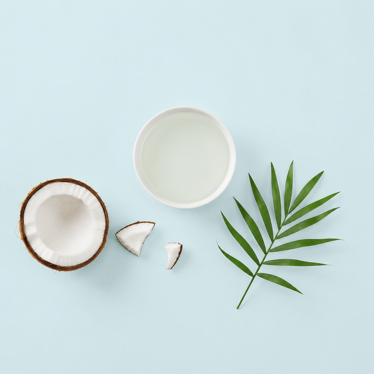 Organic MCT Coconut Oil – Certified